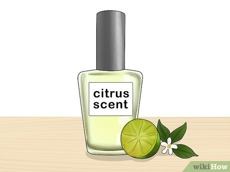 Step 3 Pick a clean, fresh scent.