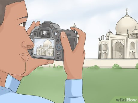 Step 1 Be cultured.