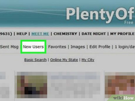 Step 6 Click New Users near the top of the page.